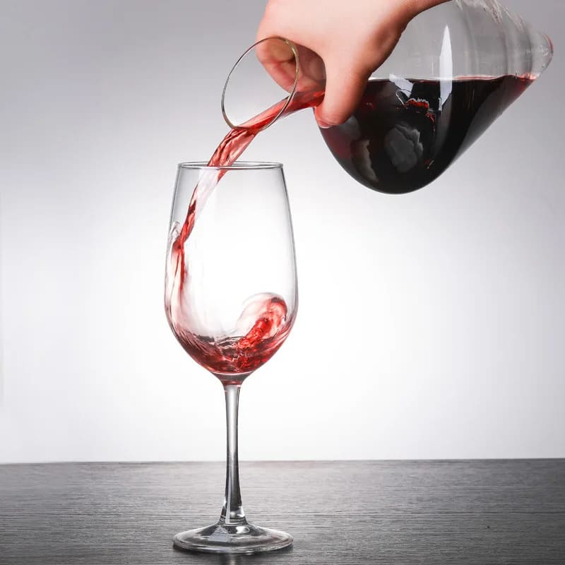 Decanter de Vinho e Whisky Balde de Gelo Vidro Bar Polihousi 5