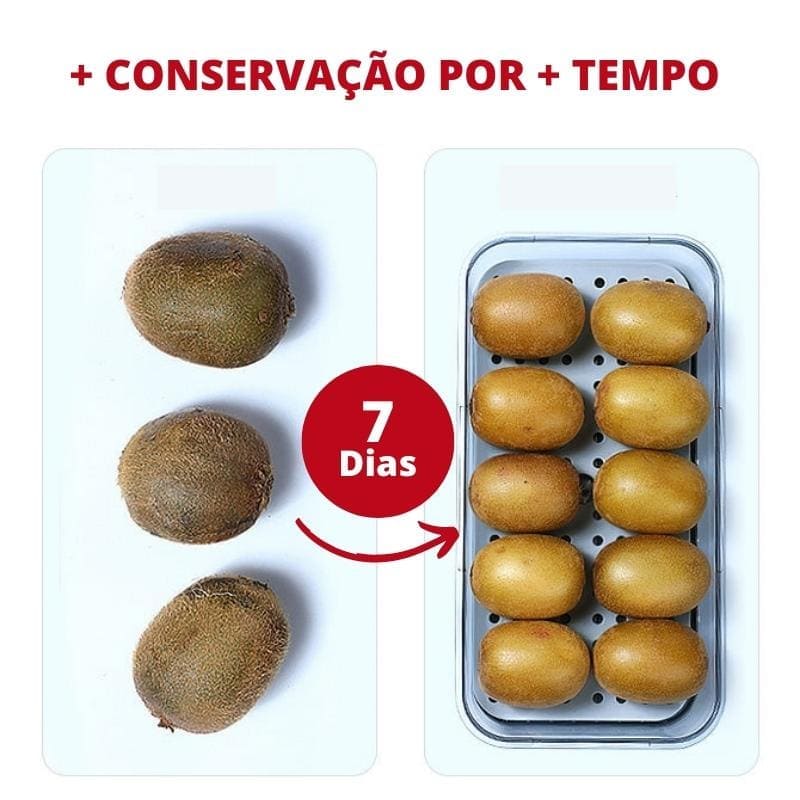 Organizador de Geladeira com Tampa e Marcador de Data 6