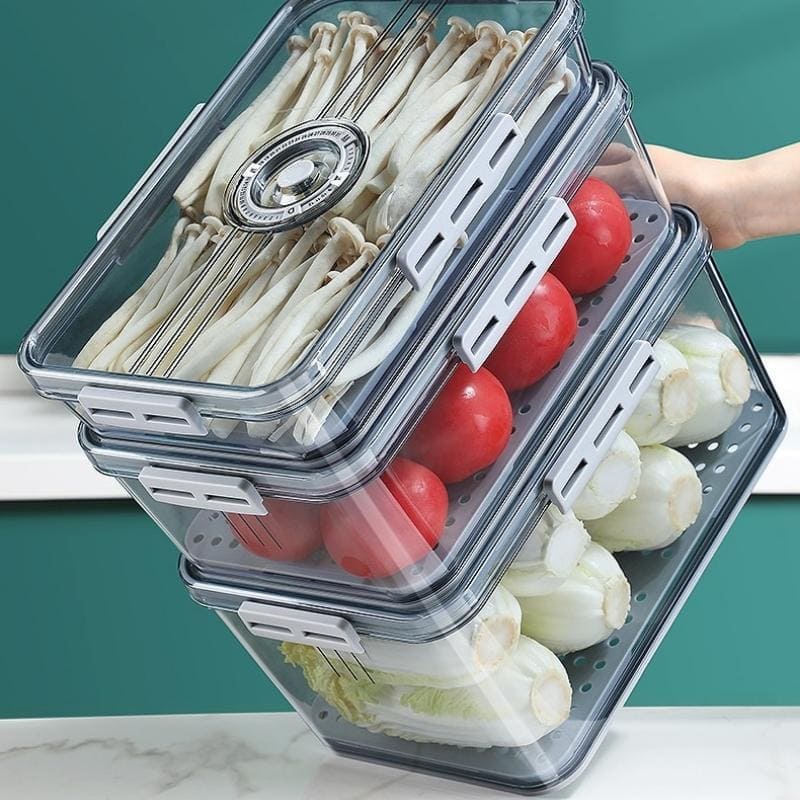 Organizador de Geladeira com Tampa e Marcador de Data 14