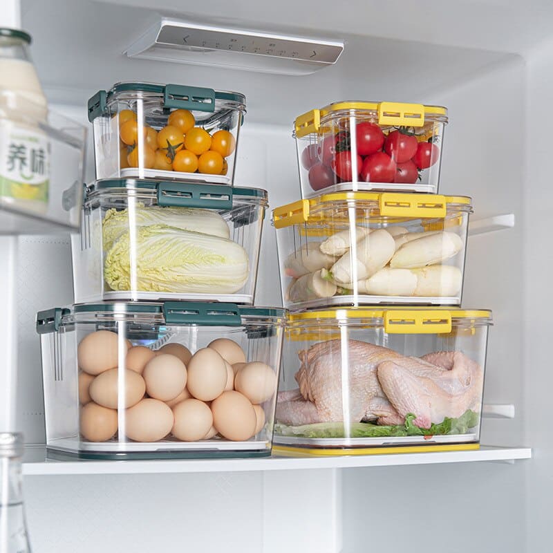Organizador de Geladeira com Tampa e Marcador de Data 7