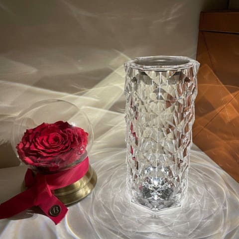 Luminária de Mesa Led Sem Fio 3-16 Cores Premium Polihousi Rose™